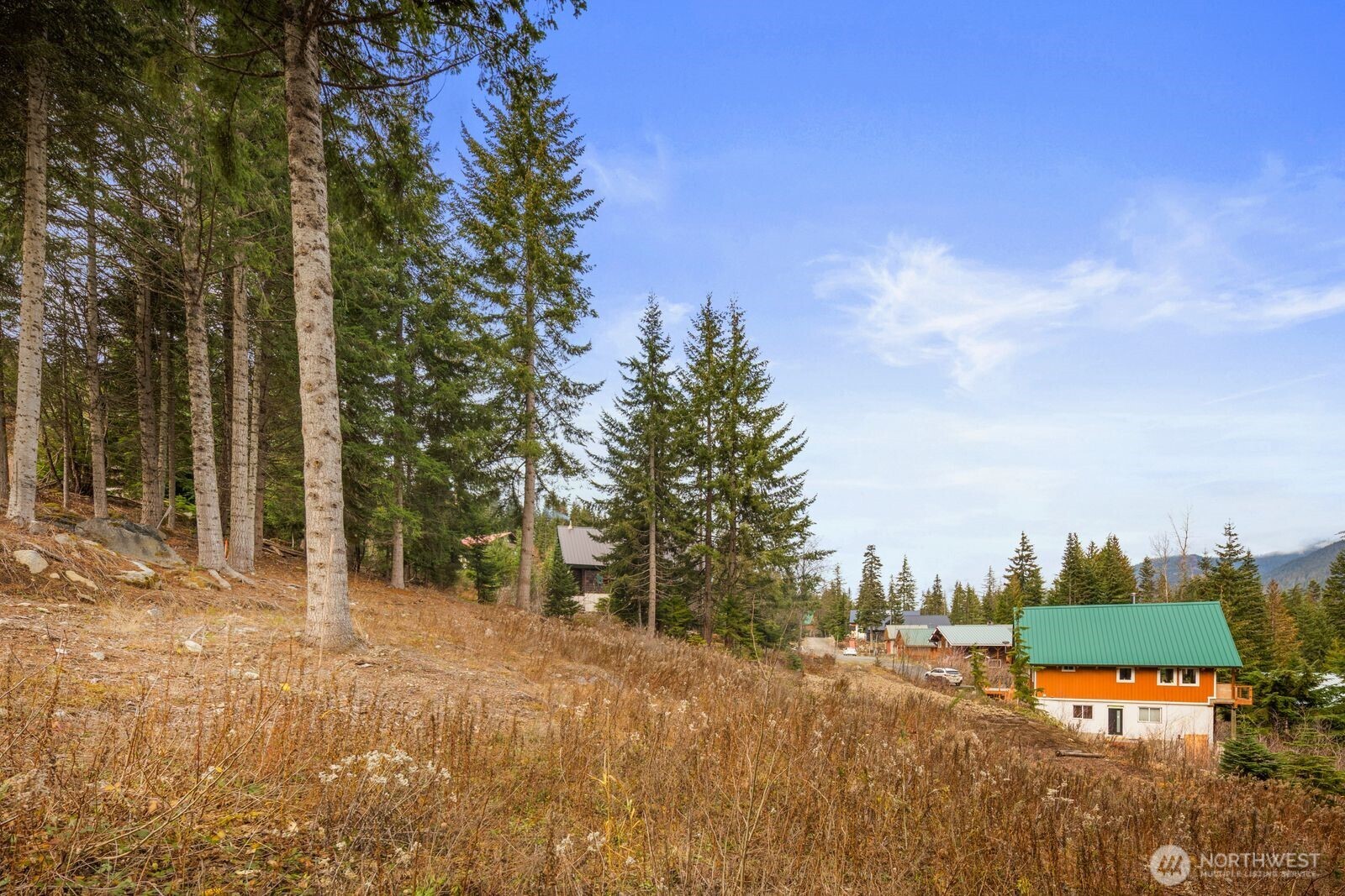 321 Innsbruck Drive , Snoqualmie Pass, WA 98068