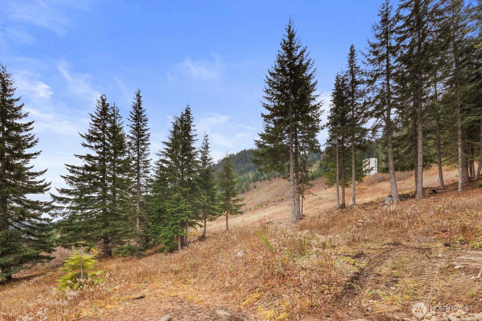 321 Innsbruck Drive , Snoqualmie Pass, WA 98068
