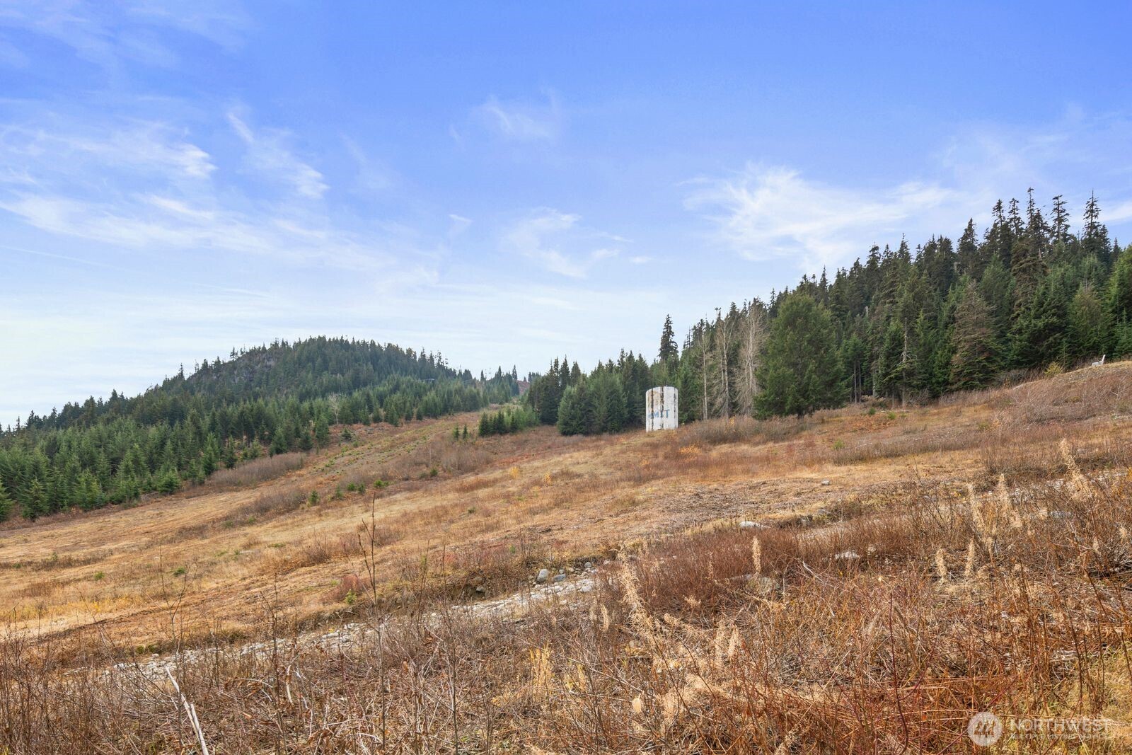 321 Innsbruck Drive , Snoqualmie Pass, WA 98068