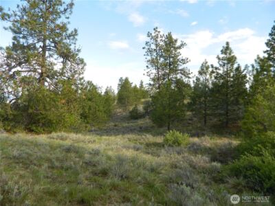 0 TBD Rehmke Road , Tonasket, WA 98855