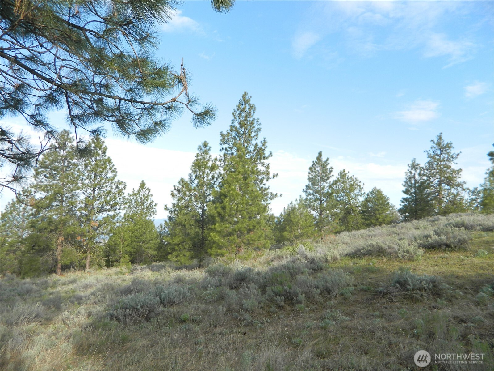 0 TBD Rehmke Road , Tonasket, WA 98855