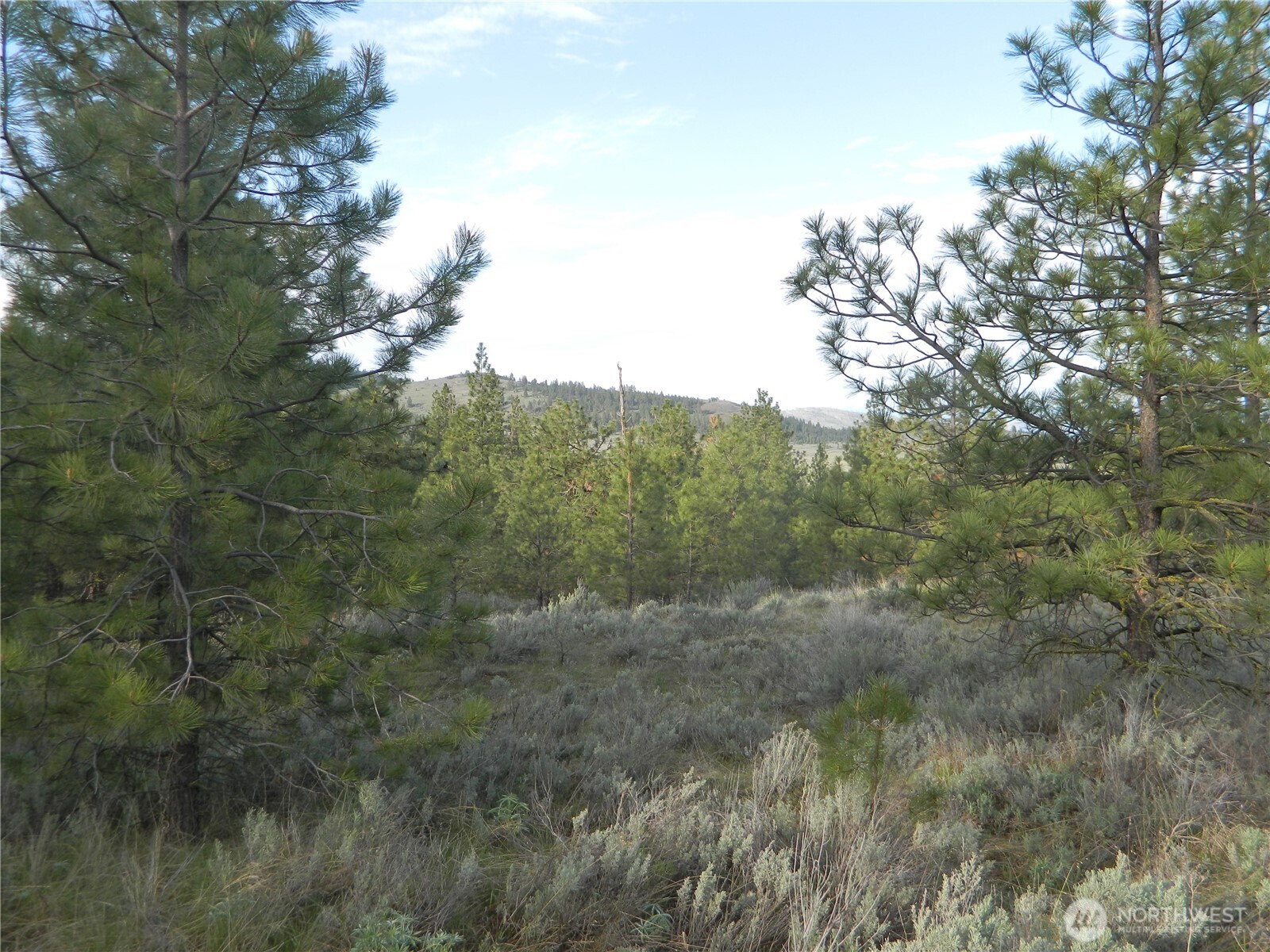 0 TBD Rehmke Road , Tonasket, WA 98855