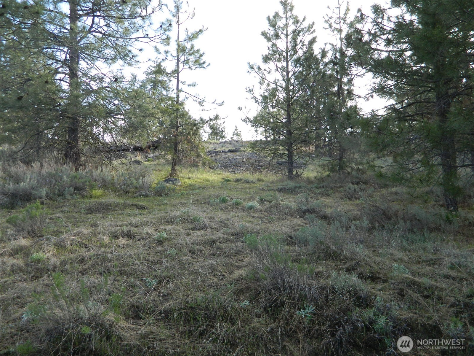 0 TBD Rehmke Road , Tonasket, WA 98855