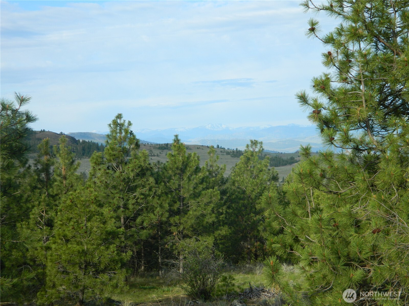 0 TBD Rehmke Road , Tonasket, WA 98855