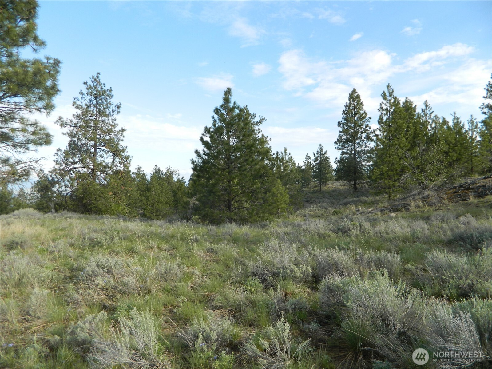 0 TBD Rehmke Road , Tonasket, WA 98855