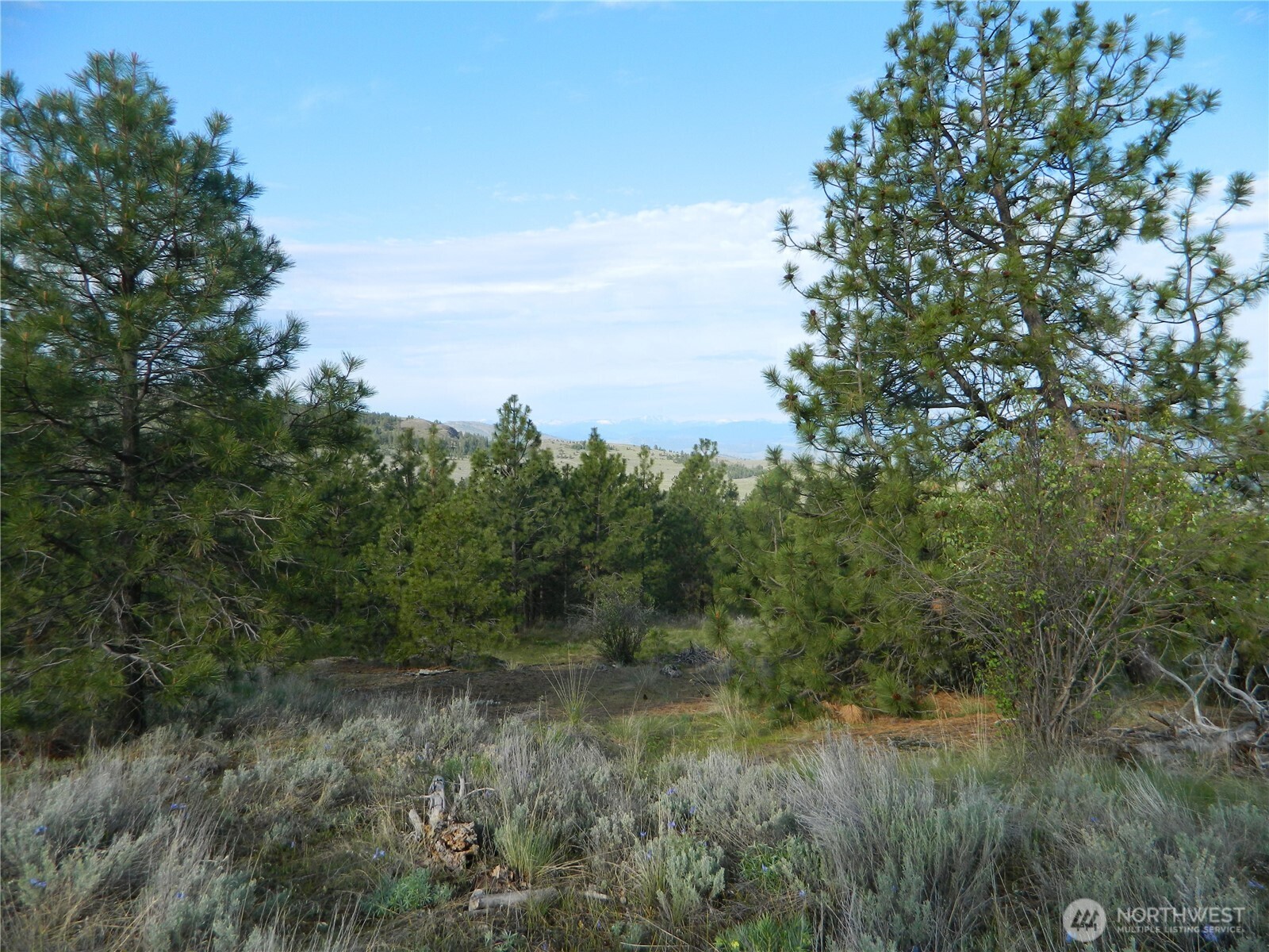 0 TBD Rehmke Road , Tonasket, WA 98855