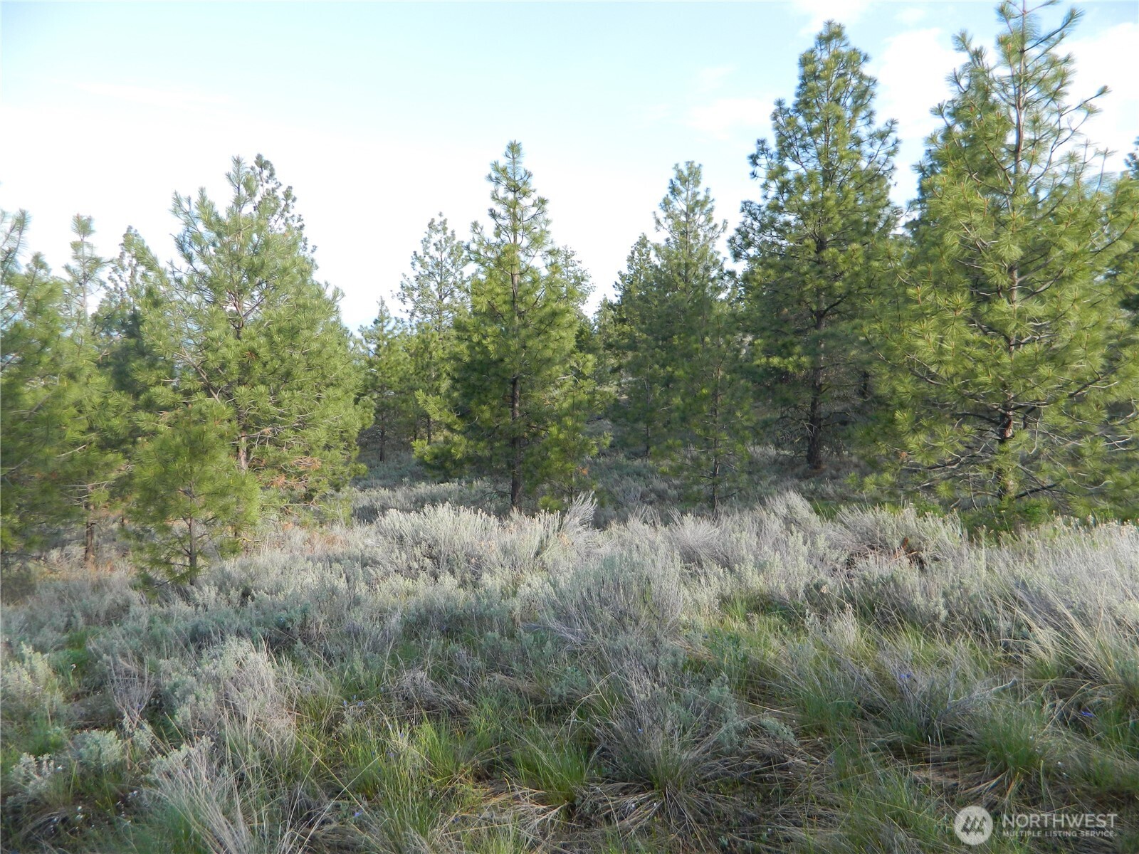 0 TBD Rehmke Road , Tonasket, WA 98855