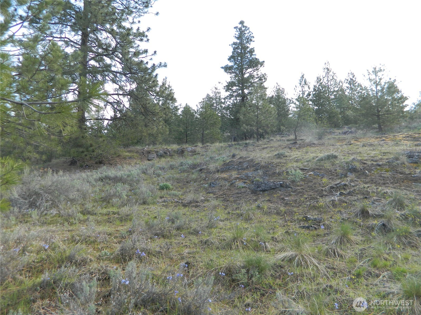 0 TBD Rehmke Road , Tonasket, WA 98855