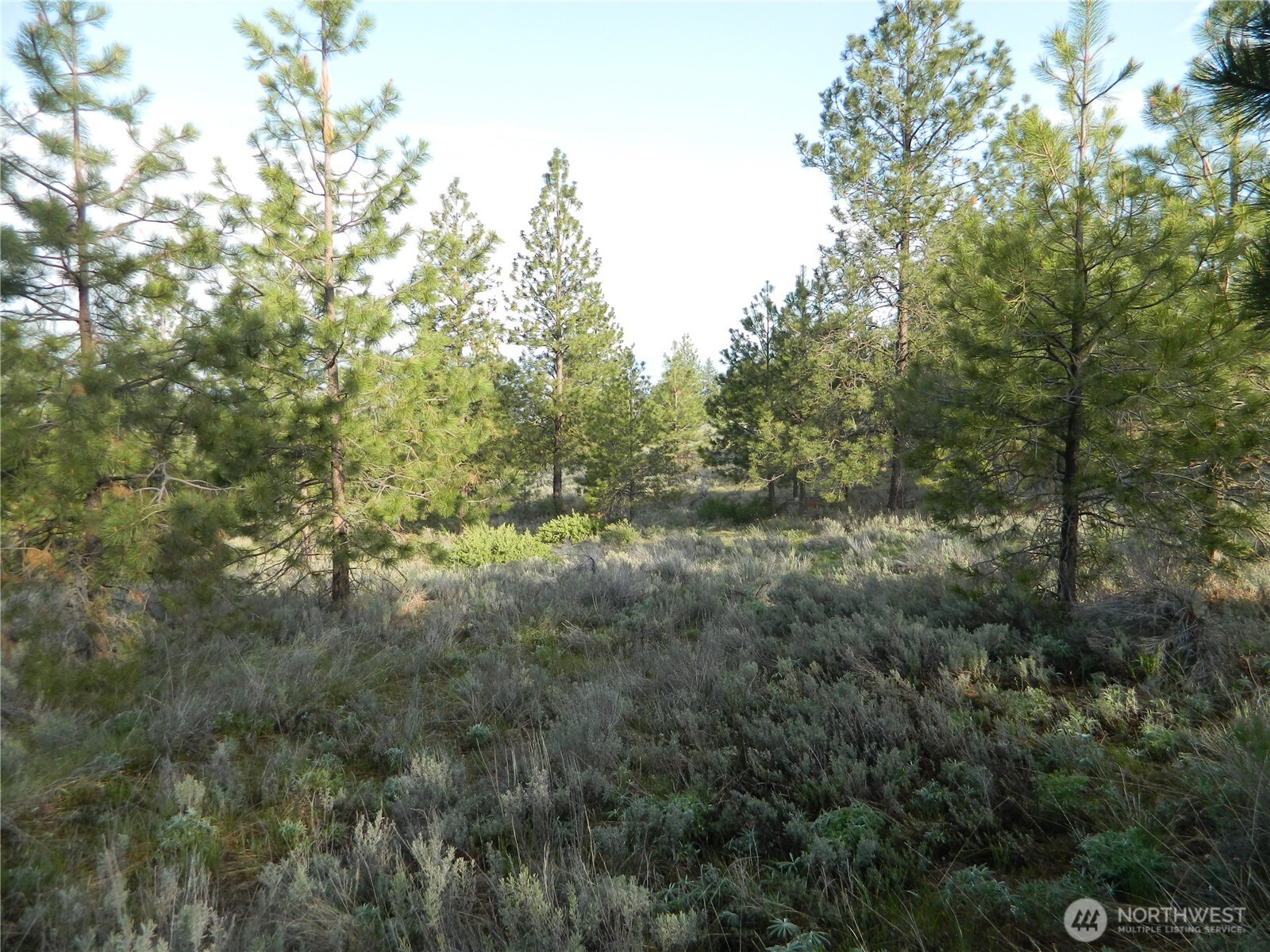 0 TBD Rehmke Road , Tonasket, WA 98855