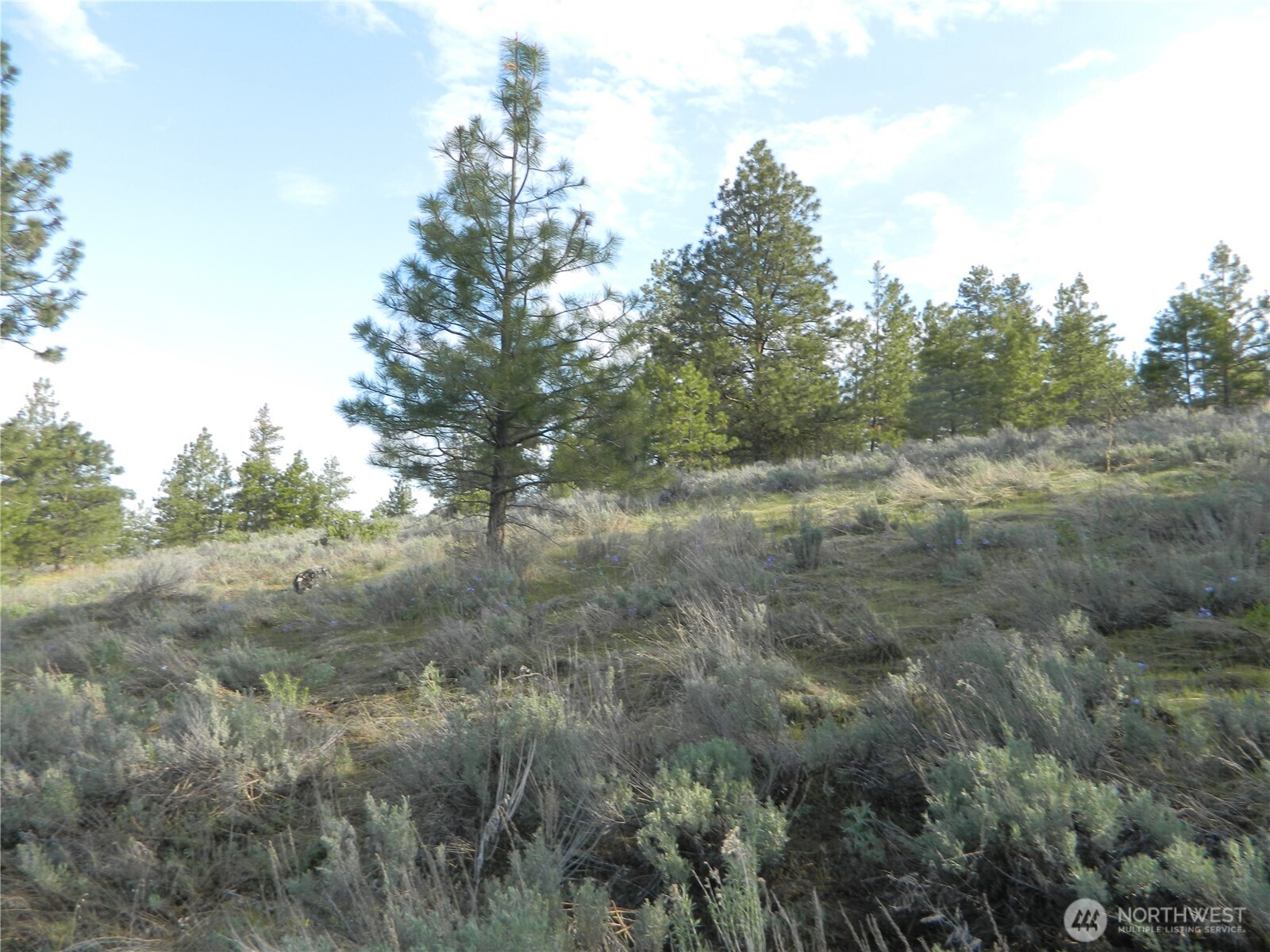 0 TBD Rehmke Road , Tonasket, WA 98855
