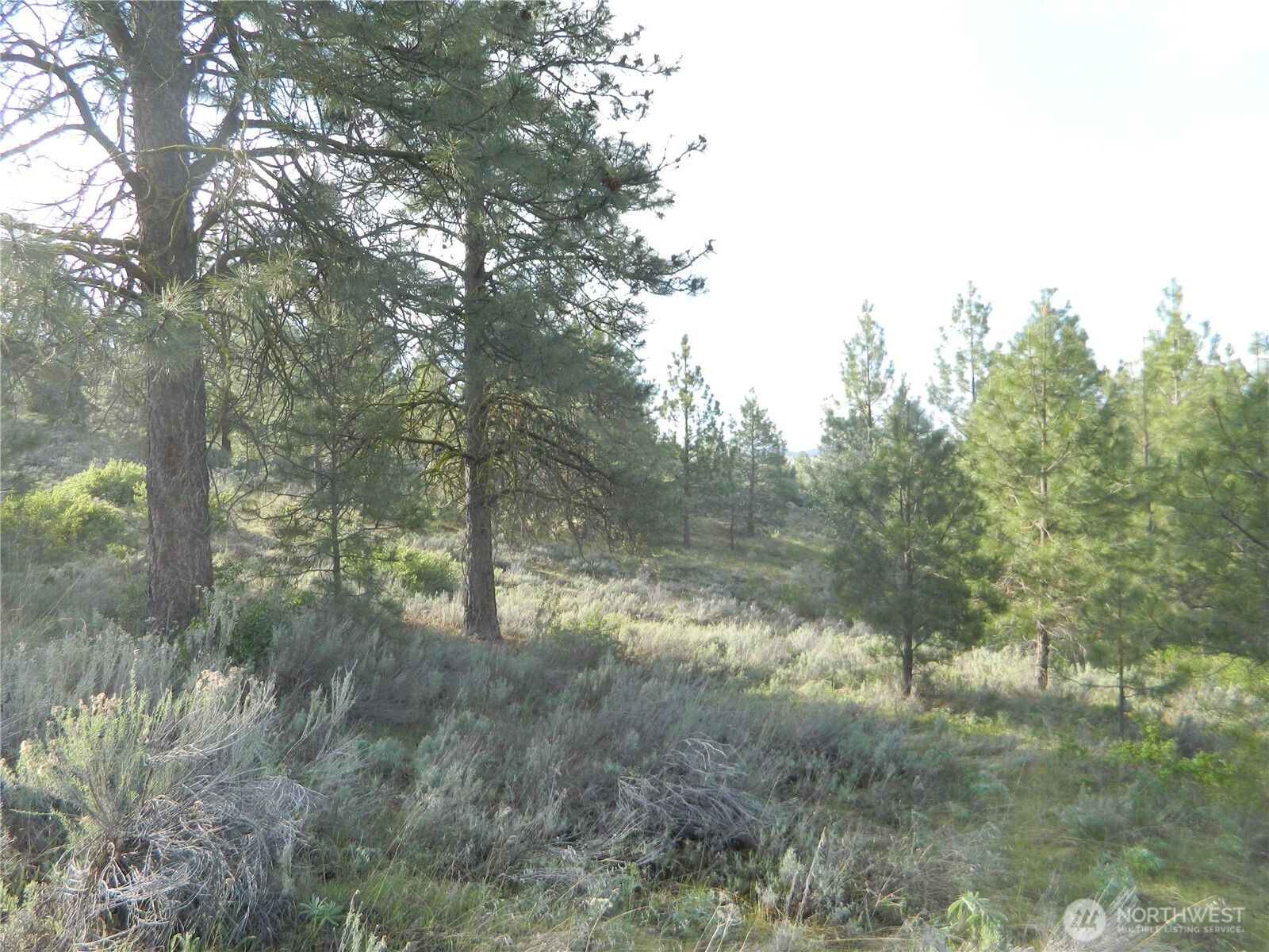 0 TBD Rehmke Road , Tonasket, WA 98855