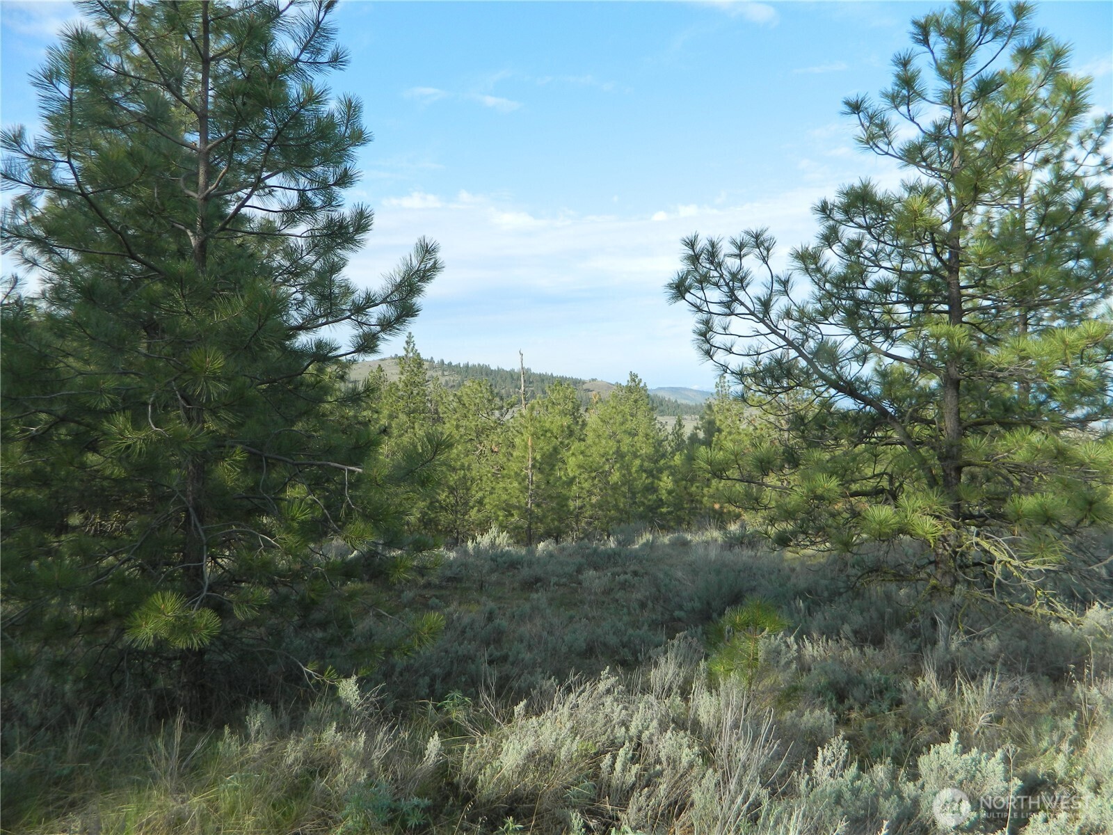 0 TBD Rehmke Road , Tonasket, WA 98855