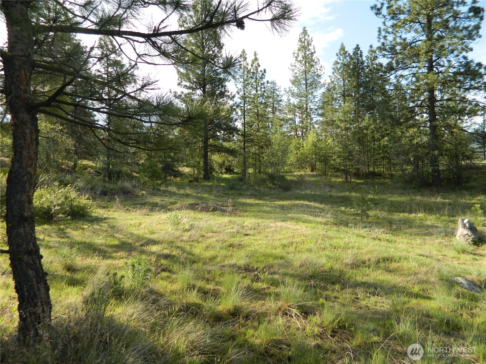 0 TBD Rehmke Road , Tonasket, WA 98855