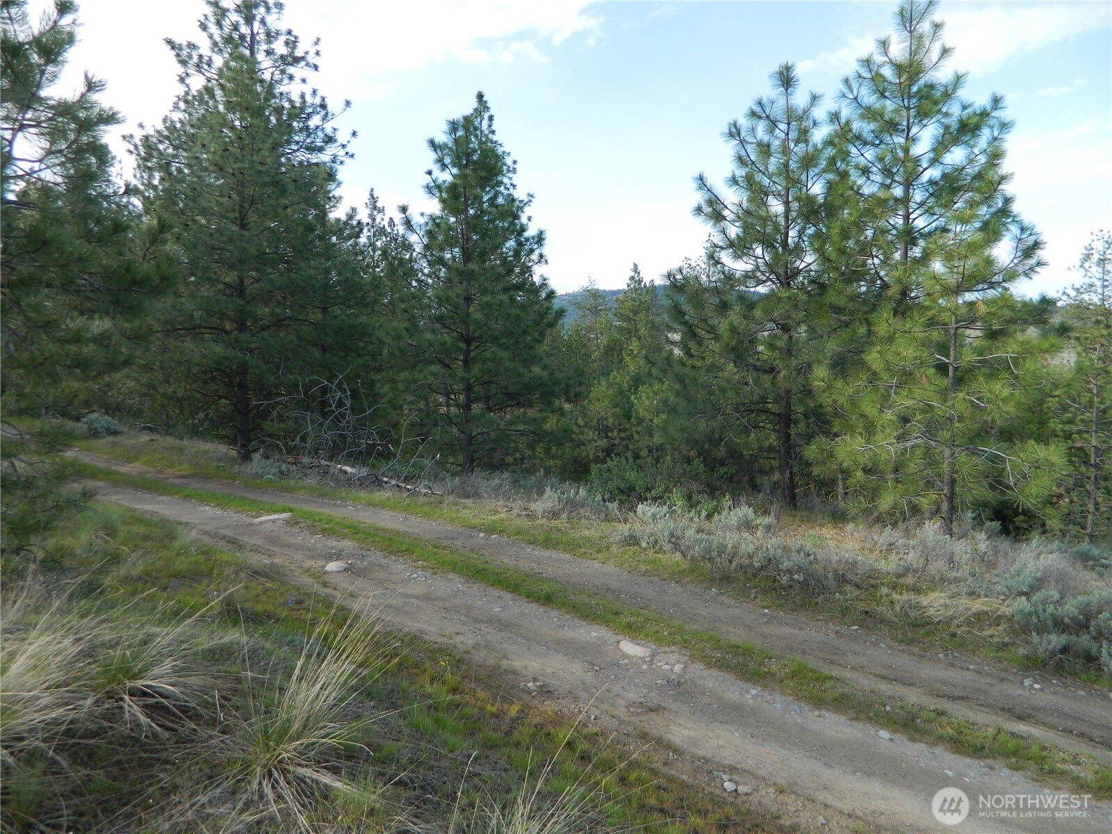 0 TBD Rehmke Road , Tonasket, WA 98855