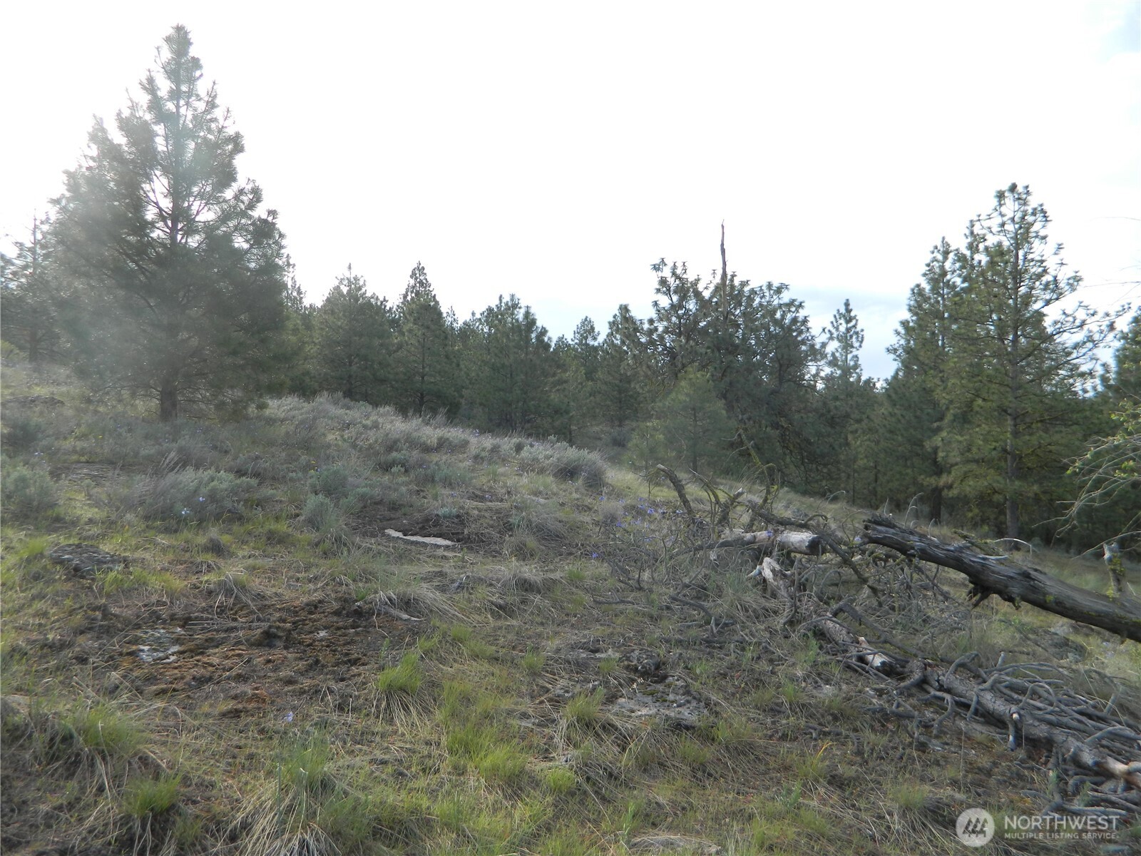 0 TBD Rehmke Road , Tonasket, WA 98855