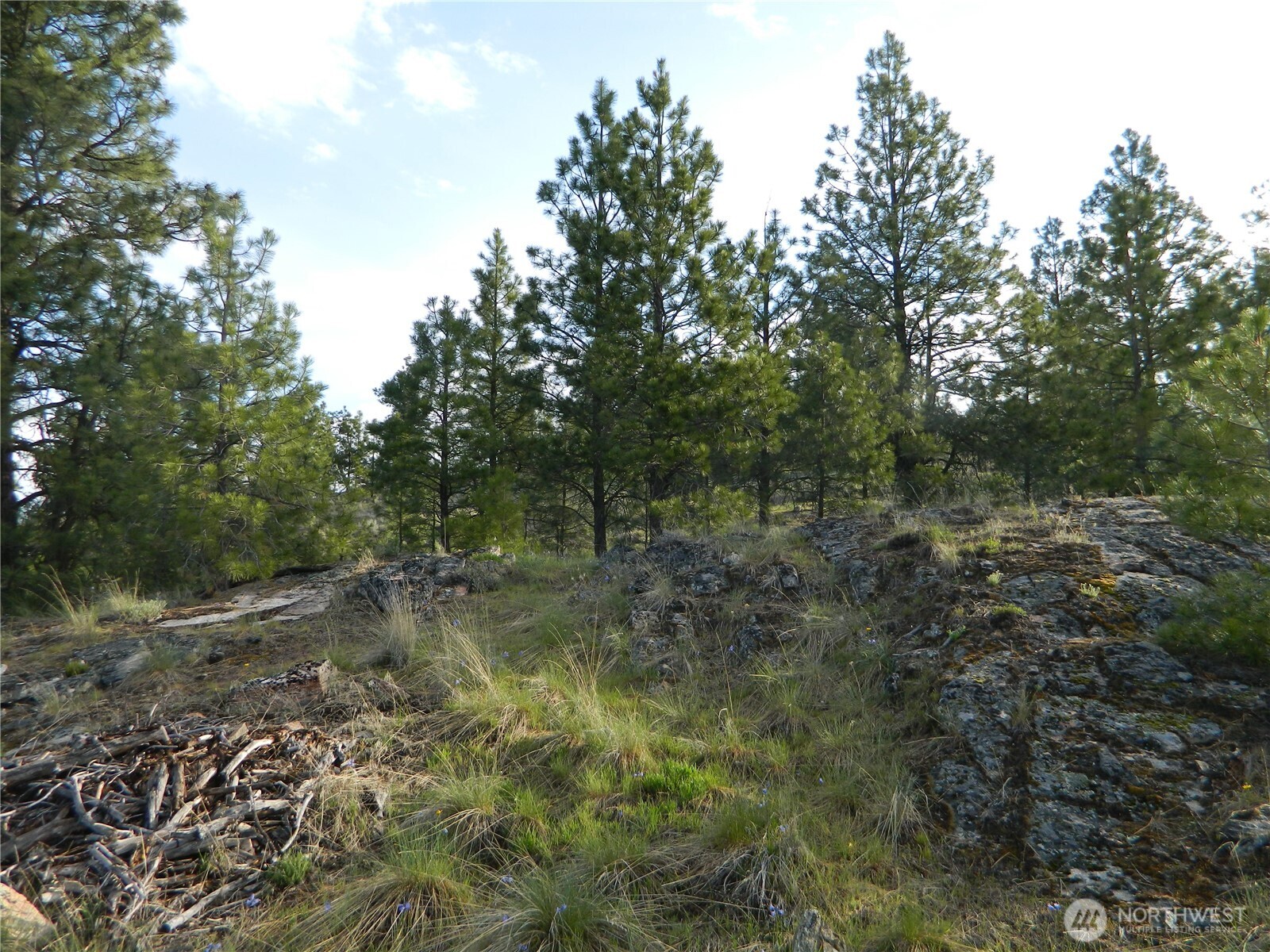 0 TBD Rehmke Road , Tonasket, WA 98855