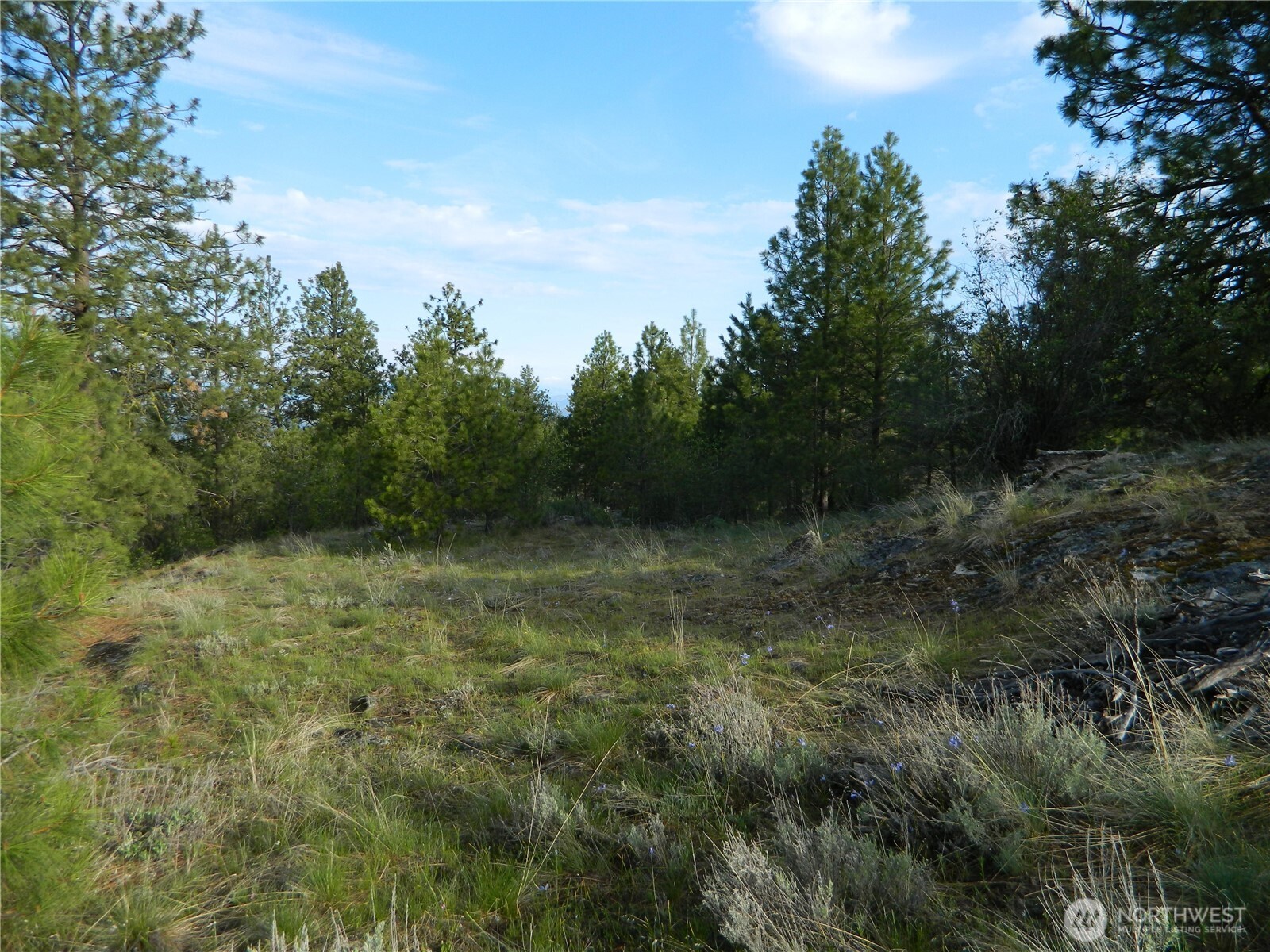 0 TBD Rehmke Road , Tonasket, WA 98855