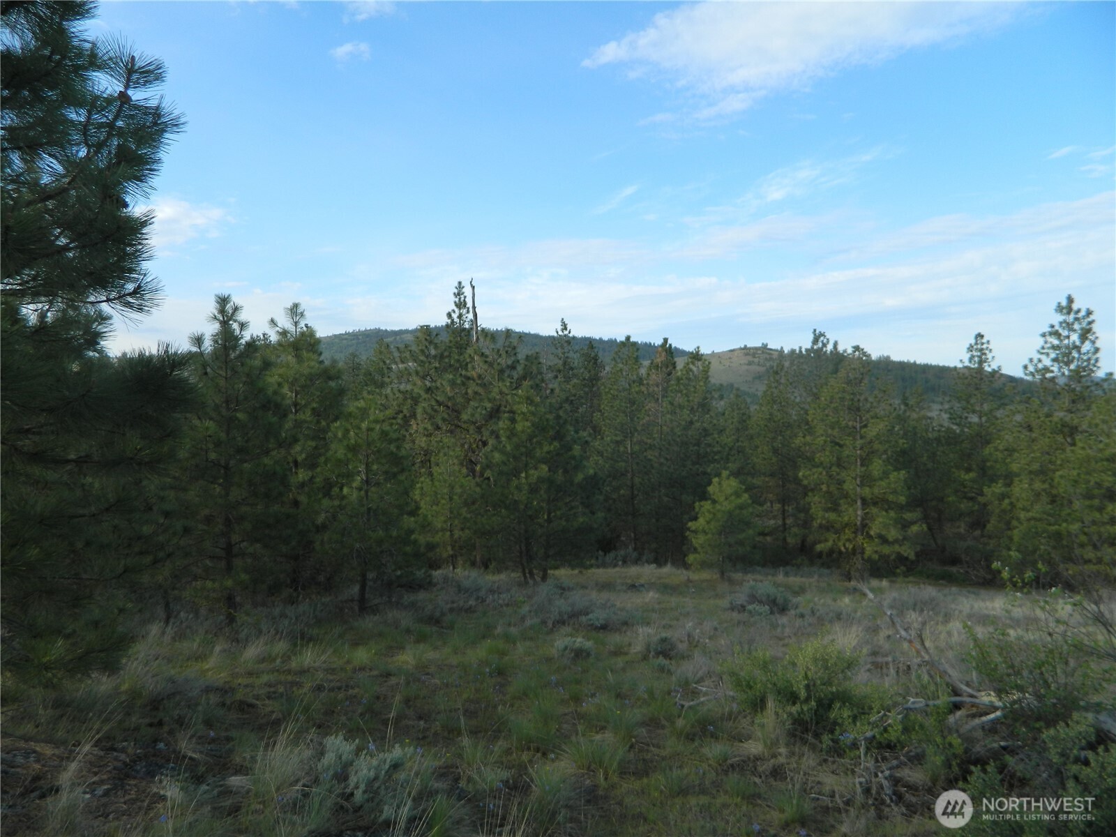 0 TBD Rehmke Road , Tonasket, WA 98855