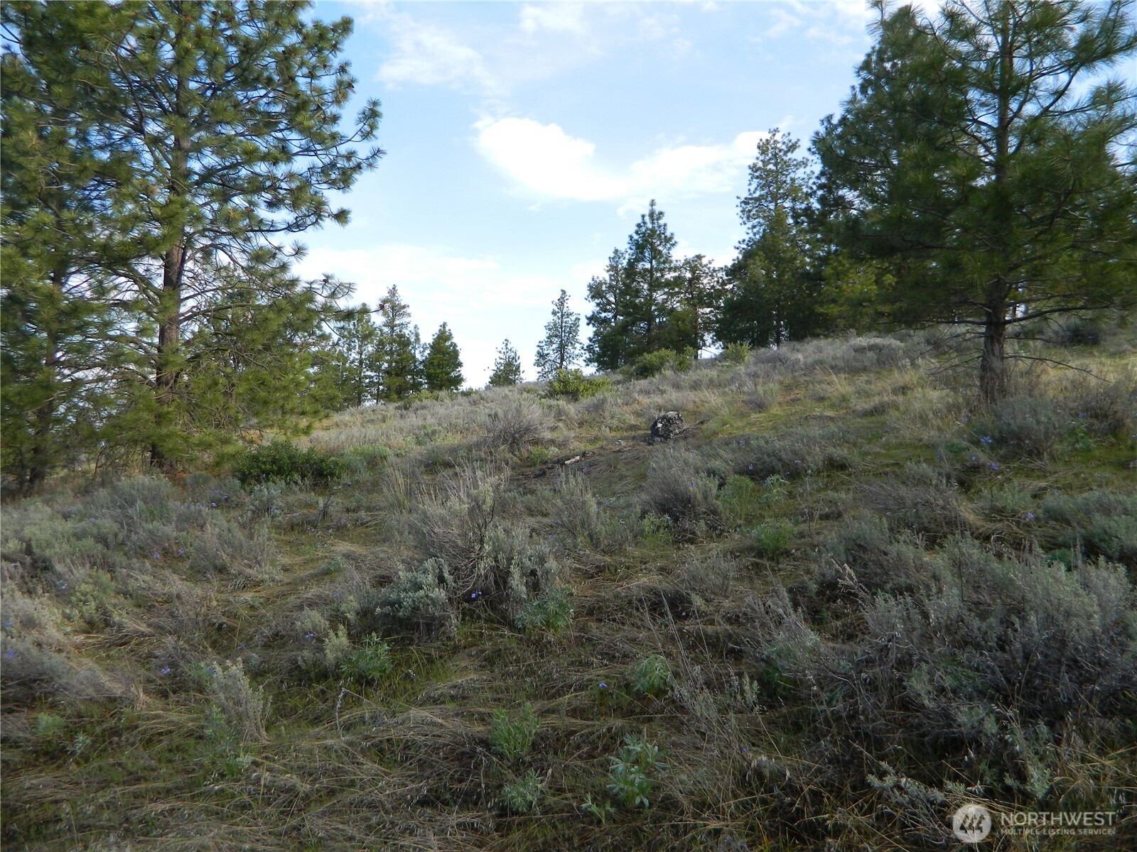 0 TBD Rehmke Road , Tonasket, WA 98855
