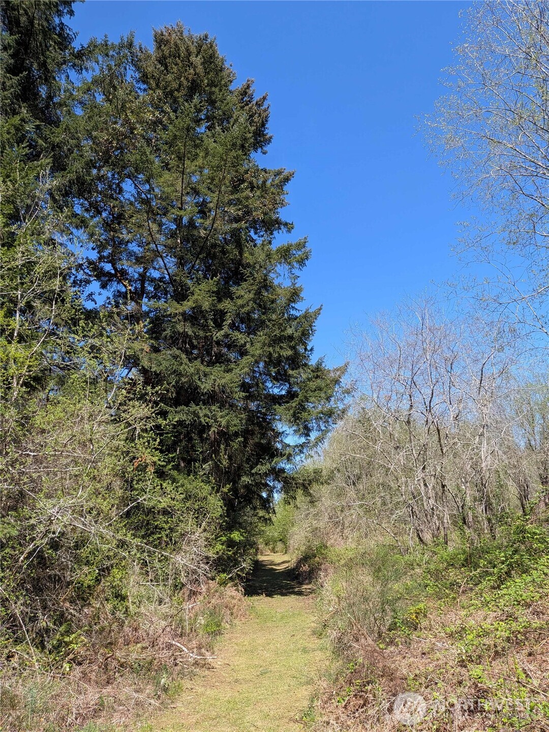 0 Cornwall Road NW, Lakebay, WA 98349