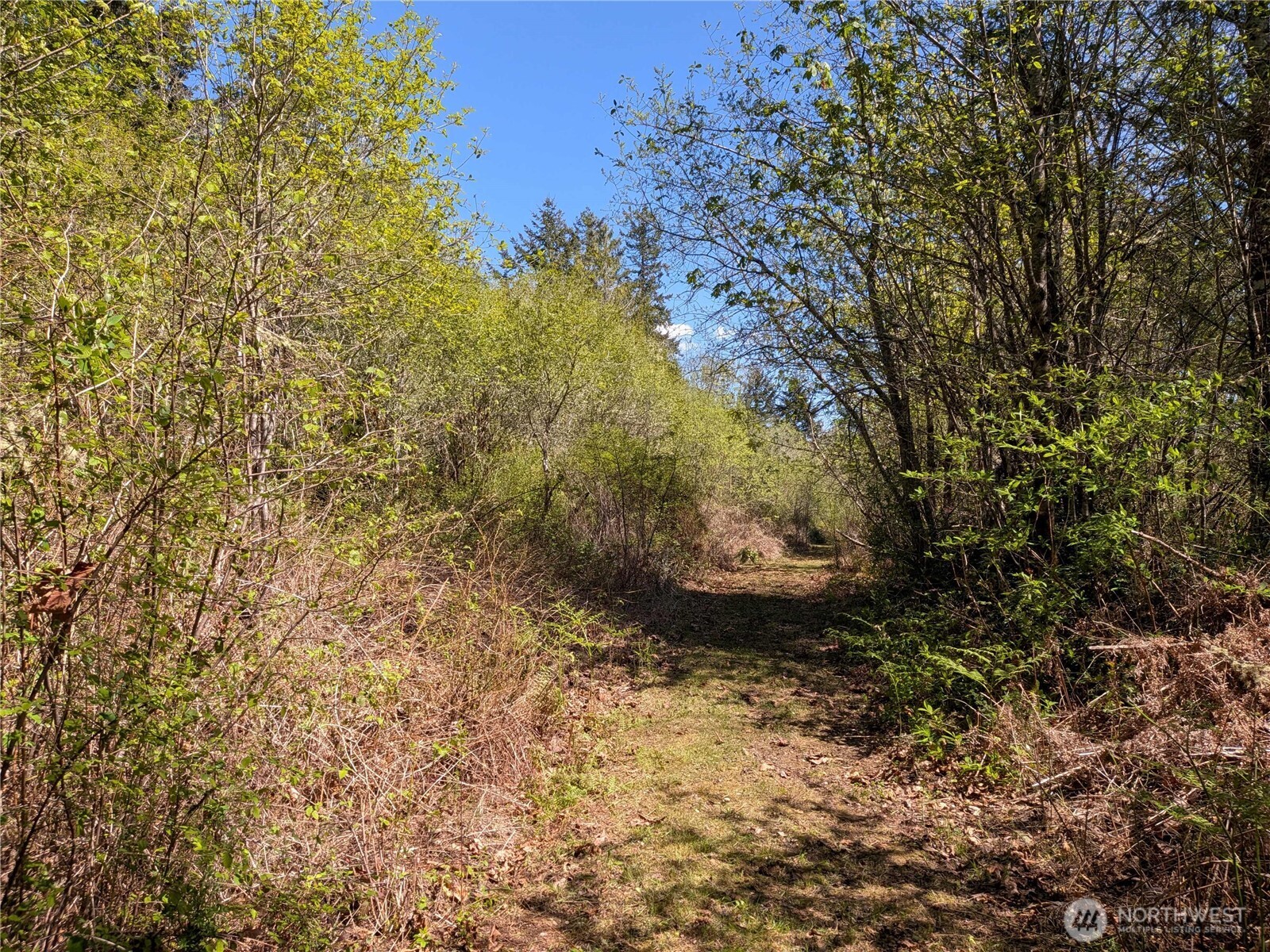 0 Cornwall Road NW, Lakebay, WA 98349
