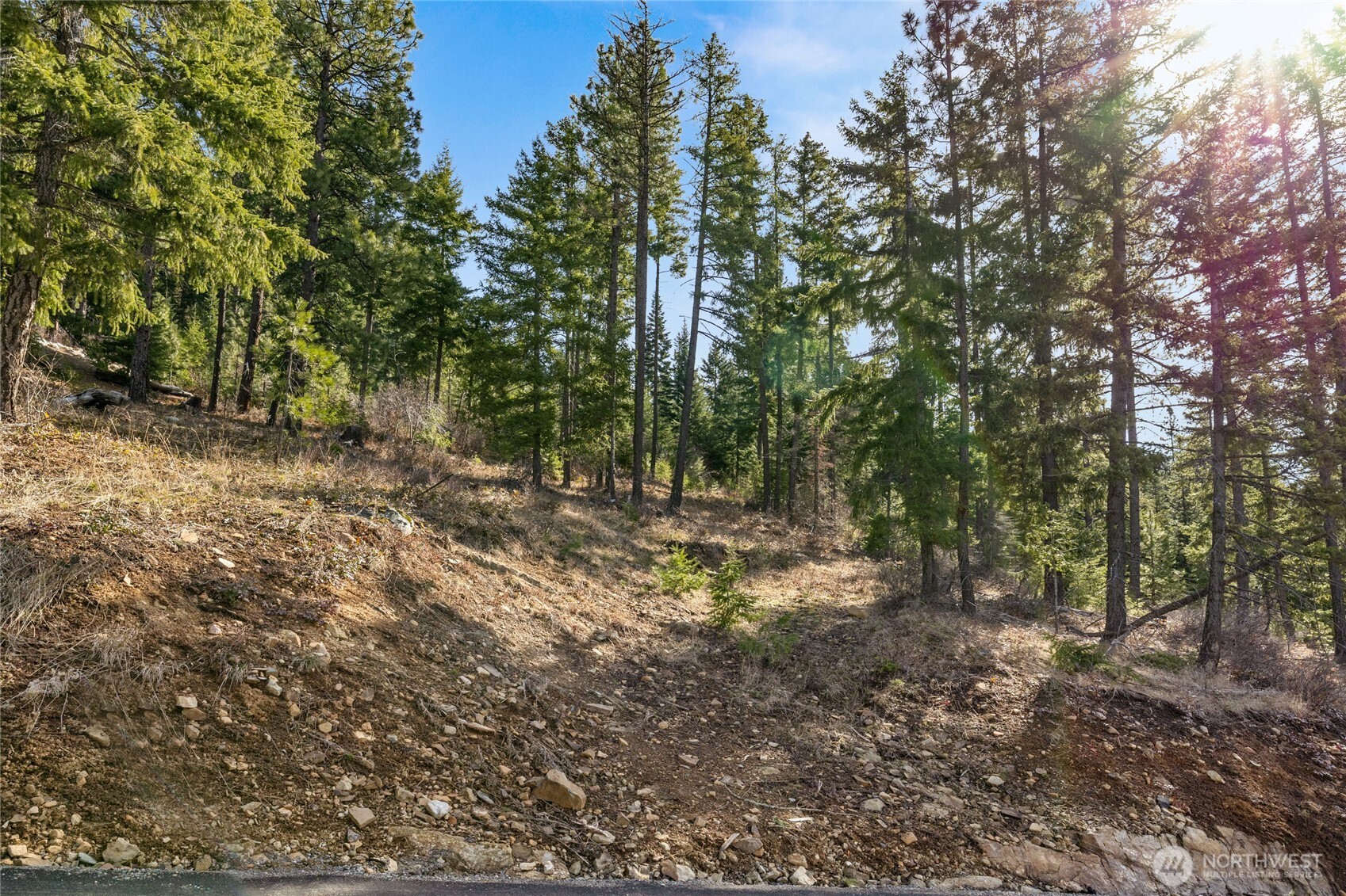 0 Lot 9 Night Sky Drive , Ronald, WA 98940