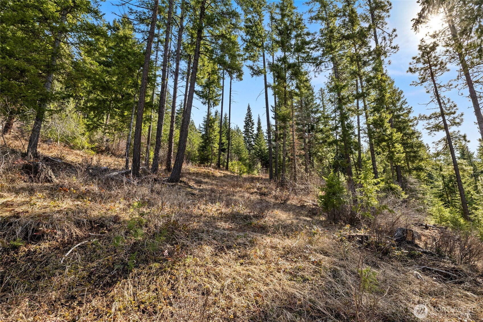 0 Lot 9 Night Sky Drive , Ronald, WA 98940