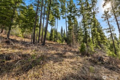 0 Lot 9 Night Sky Drive , Ronald, WA 98940 - Photo 9