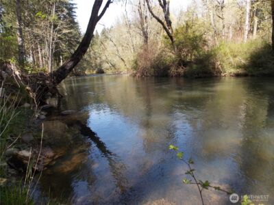 16302 Village Drive SE, Rainier, WA 98576 - Photo 1