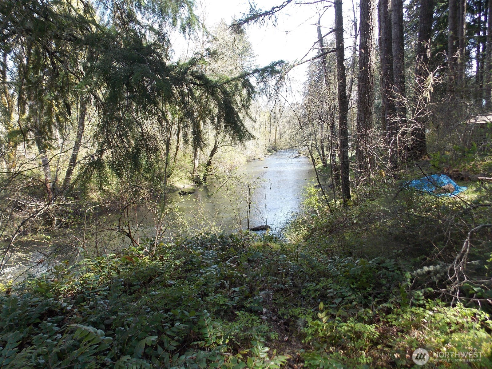 16302 Village Drive SE, Rainier, WA 98576