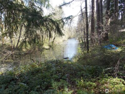 16302 Village Drive SE, Rainier, WA 98576 - Photo 12