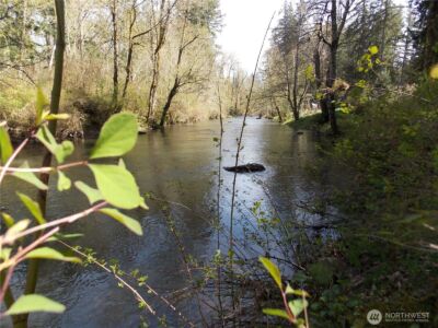 16302 Village Drive SE, Rainier, WA 98576 - Photo 15