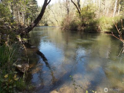 16302 Village Drive SE, Rainier, WA 98576 - Photo 25