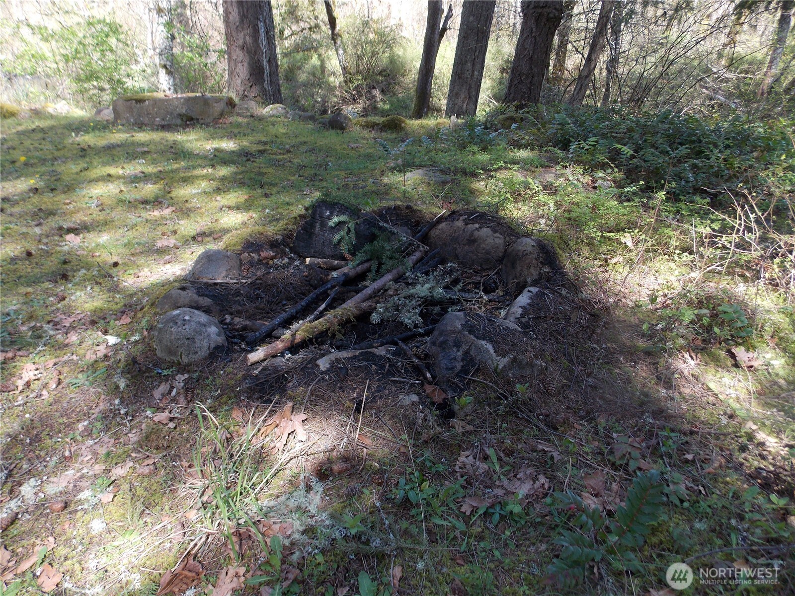 16302 Village Drive SE, Rainier, WA 98576