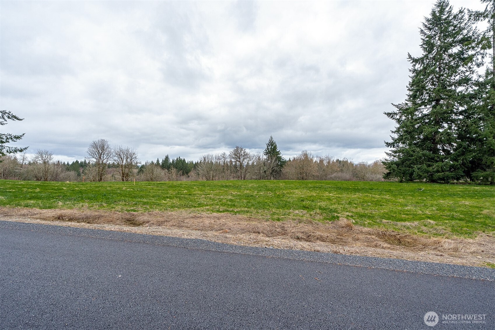 0 Lot C Birchfield Commons , Onalaska, WA 98570