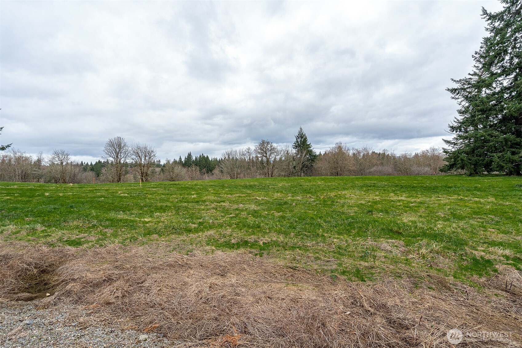 0 Lot C Birchfield Commons , Onalaska, WA 98570