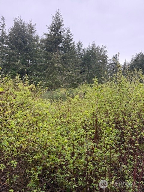 8 NKA Katherine Street , Port Townsend, WA 98368