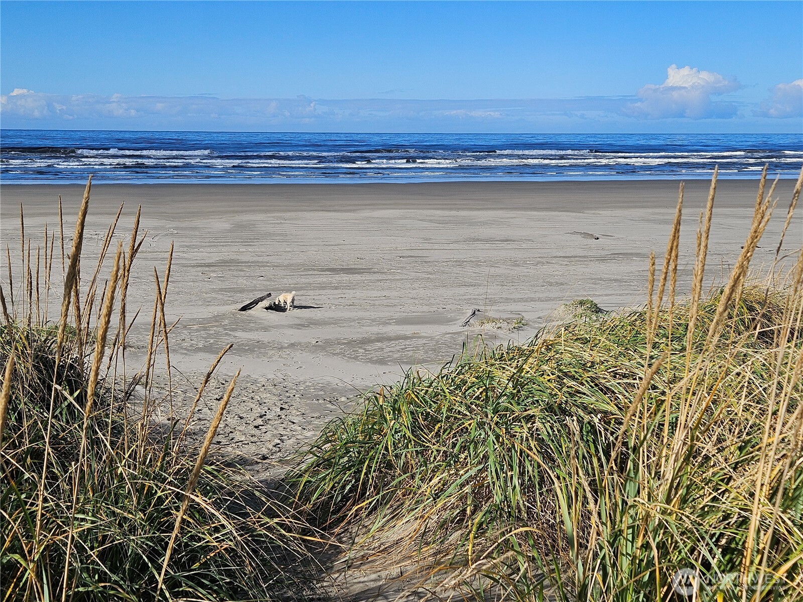 30311 U Place , Ocean Park, WA 98640