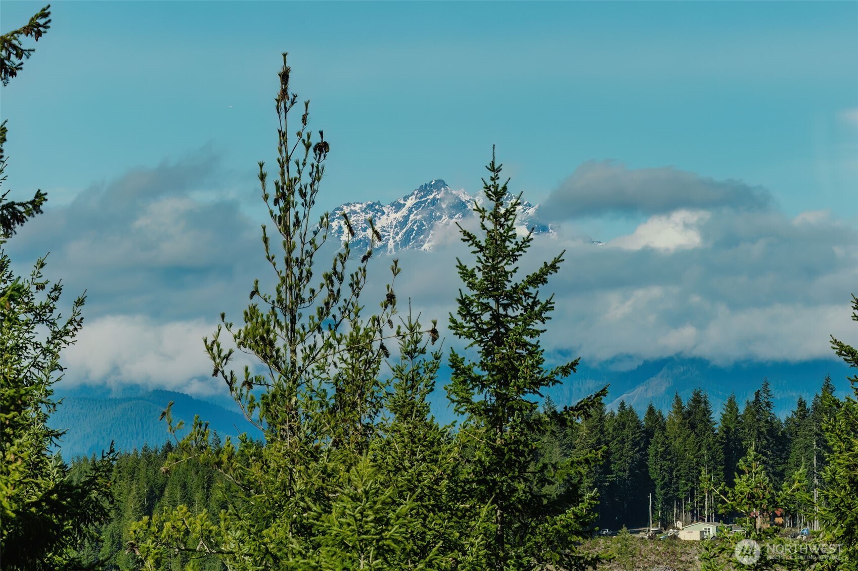 62 NE Southridge Drive , Belfair, WA 98528
