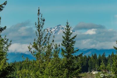 62 NE Southridge Drive , Belfair, WA 98528 - Photo 31