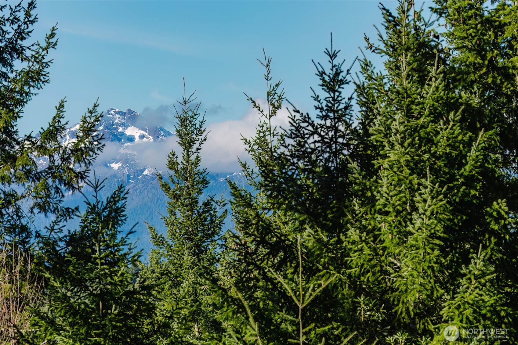 62 NE Southridge Drive , Belfair, WA 98528