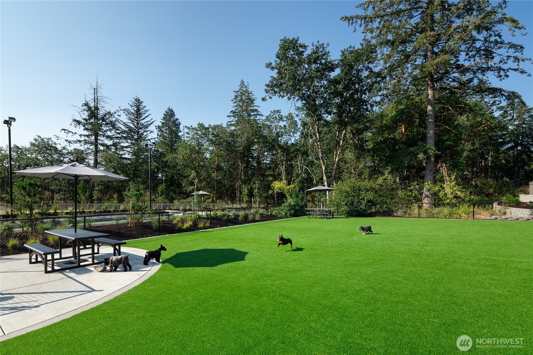 2926 Balsamroot Drive SE, Lacey, WA 98513