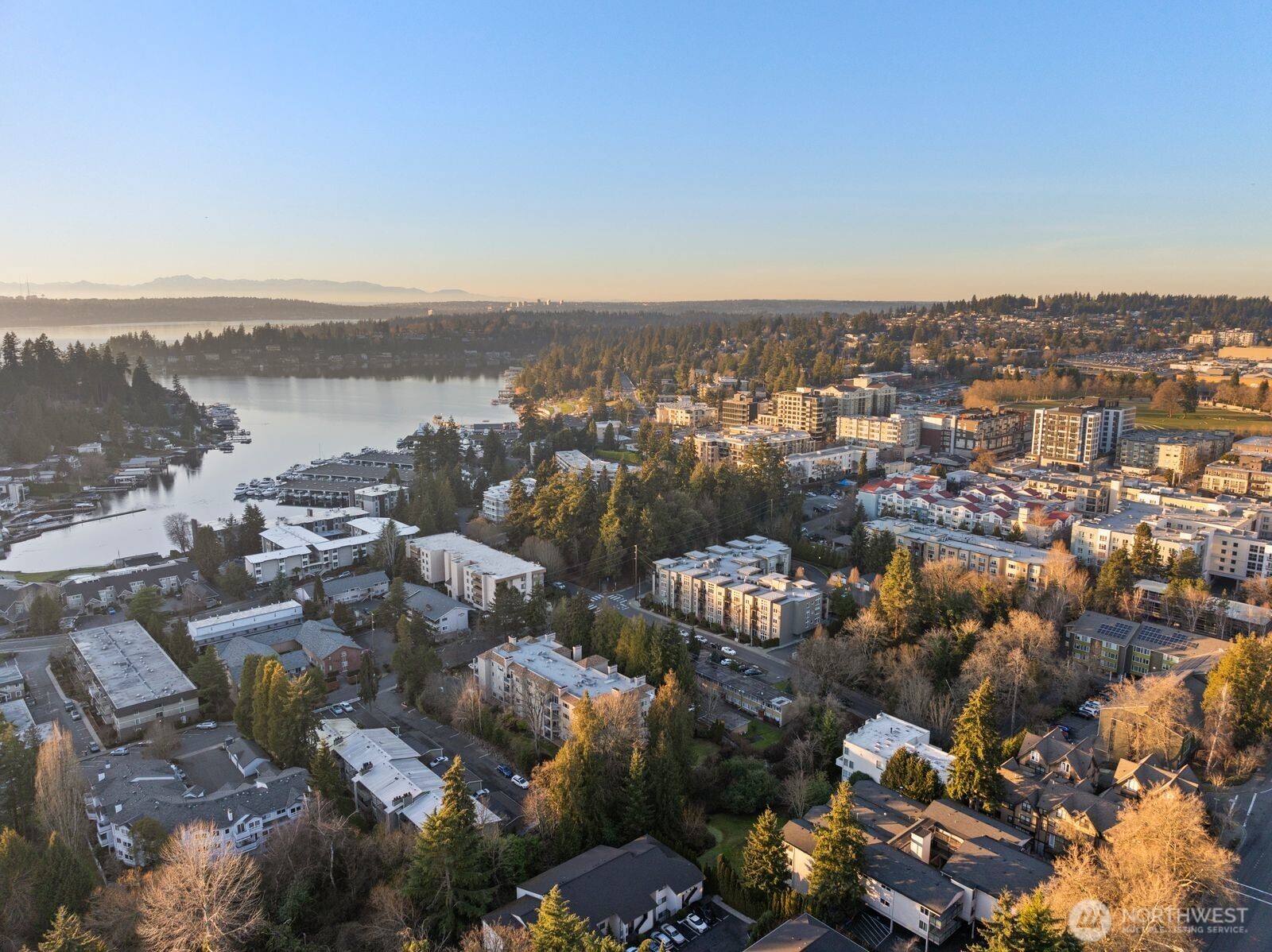 10237 SE 3rd Street #5, Bellevue, WA 98004