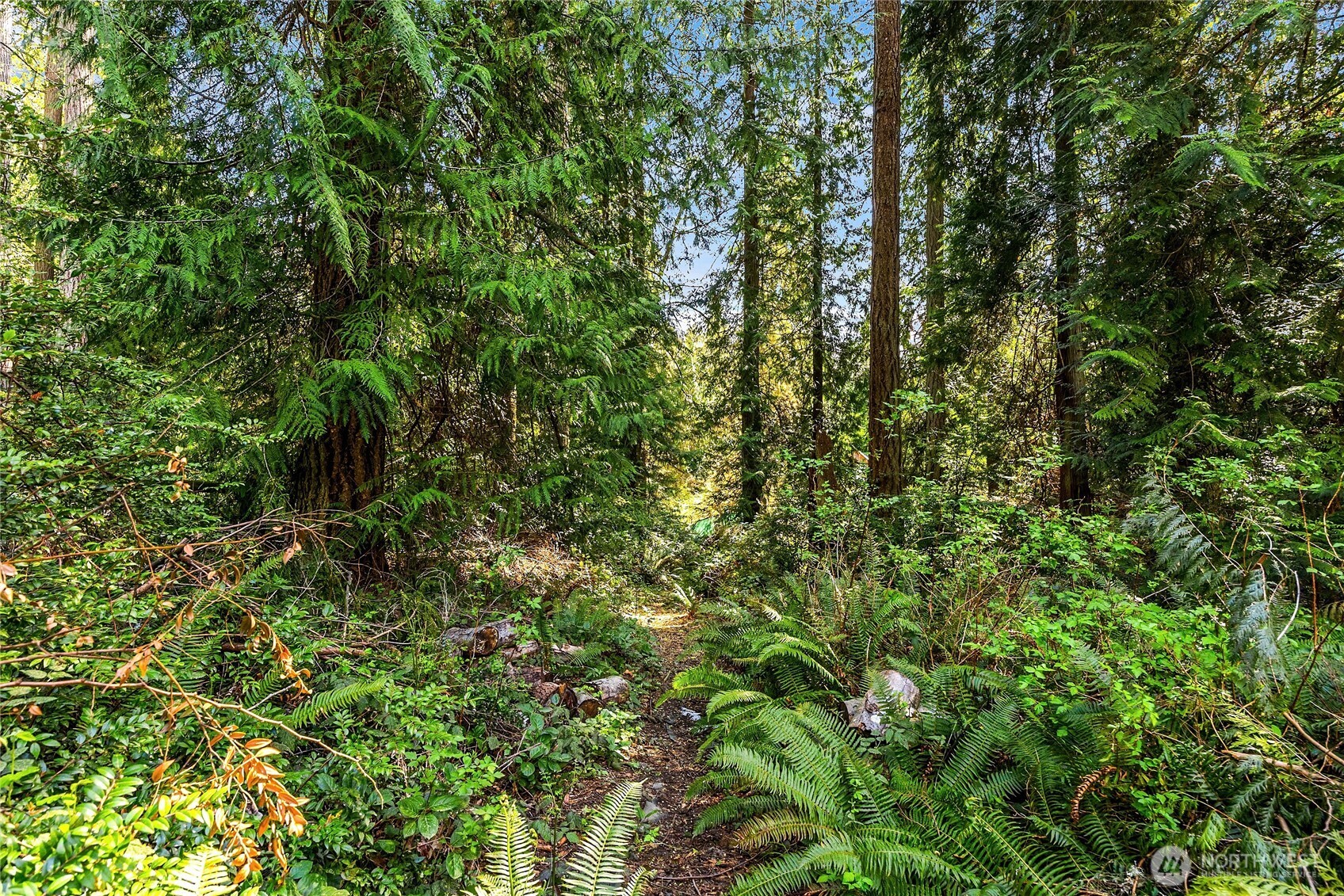 14340 Shasta Lane NE, Bainbridge Island, WA 98110