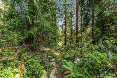 14340 Shasta Lane NE, Bainbridge Island, WA 98110 - Photo 36