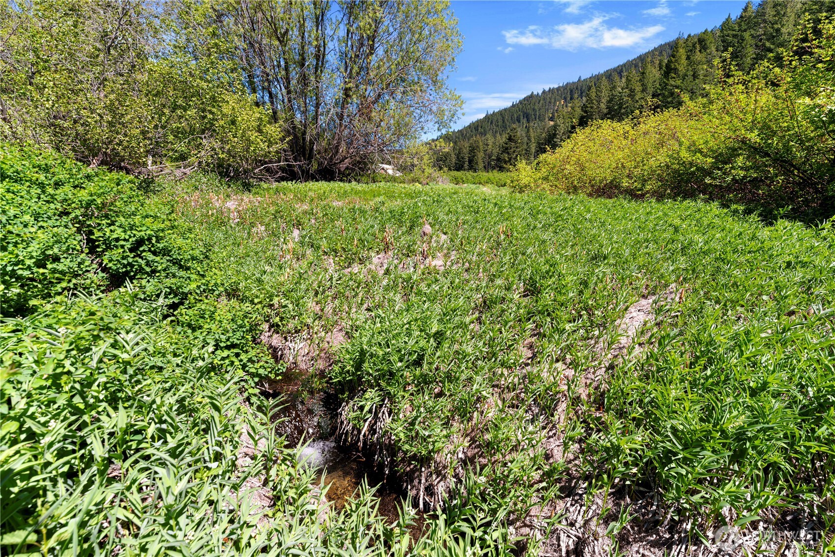 1111 Chumstick Highway , Leavenworth, WA 98826