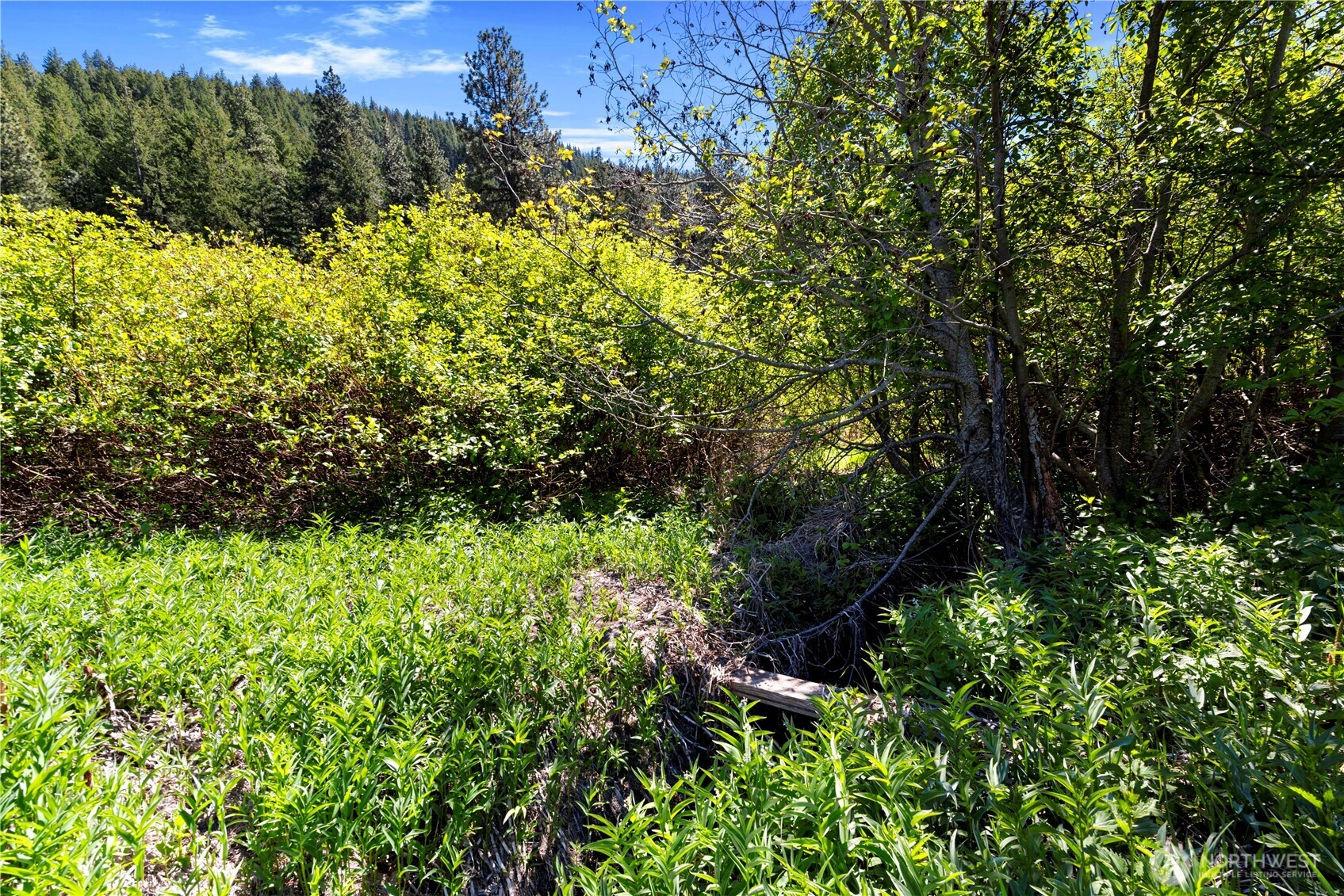 1111 Chumstick Highway , Leavenworth, WA 98826
