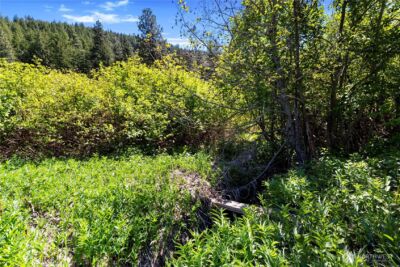 1111 Chumstick Highway , Leavenworth, WA 98826 - Photo 8
