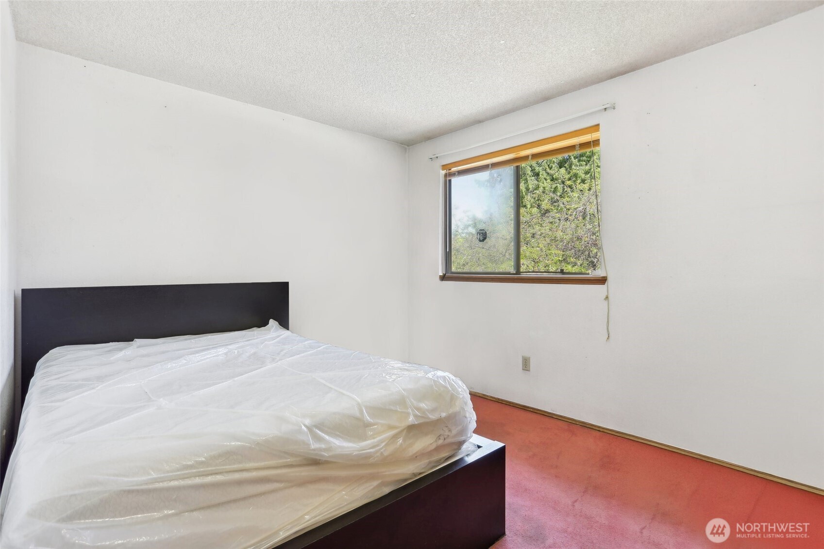 8103 30th Avenue SW, Seattle, WA 98126