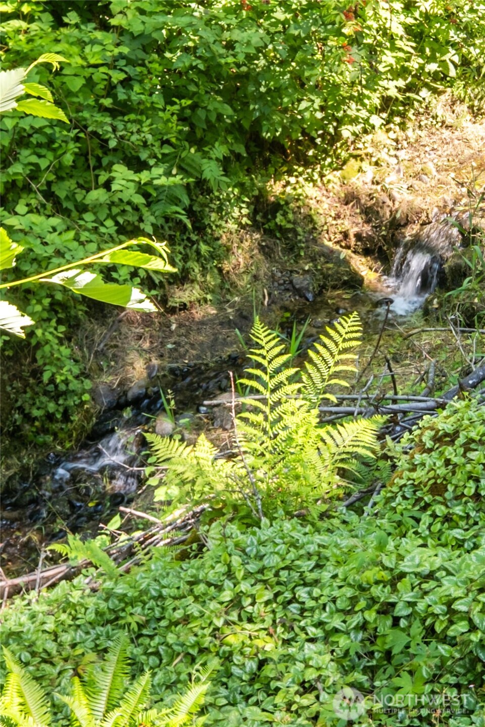 932 16th Avenue Ct SE, Puyallup, WA 98372